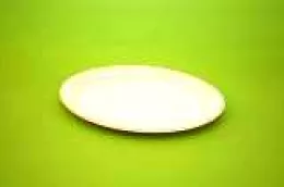 Assiette ovale 26cm biodégradable compostable